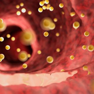 Riduzione dell'Assorbimento dei Carboidrati